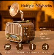 Everton RT-738 Şık Tasarımlı Gramafon Görünümlü Klasik Retro Nostalji Bluetooth/USB/Sd/ Radyo Mp3 Player Müzik Kutusu