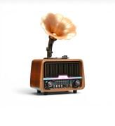 Everton RT-601 Özel Plak Gramafon Tasarımlı Ledli Klasik Retro Nostalji Bluetooth/USB/Sd/ Radyo Mp3 Player Müzik Kutusu