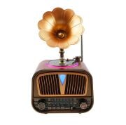 Everton RT-602 Özel Plak Gramafon Tasarımlı Ledli Klasik Retro Nostalji Bluetooth/USB/Sd/ Radyo Mp3 Player Müzik Kutusu