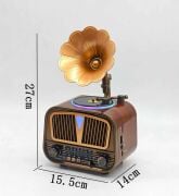 Everton RT-602 Özel Plak Gramafon Tasarımlı Ledli Klasik Retro Nostalji Bluetooth/USB/Sd/ Radyo Mp3 Player Müzik Kutusu
