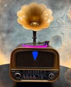 Everton RT-602 Özel Plak Gramafon Tasarımlı Ledli Klasik Retro Nostalji Bluetooth/USB/Sd/ Radyo Mp3 Player Müzik Kutusu
